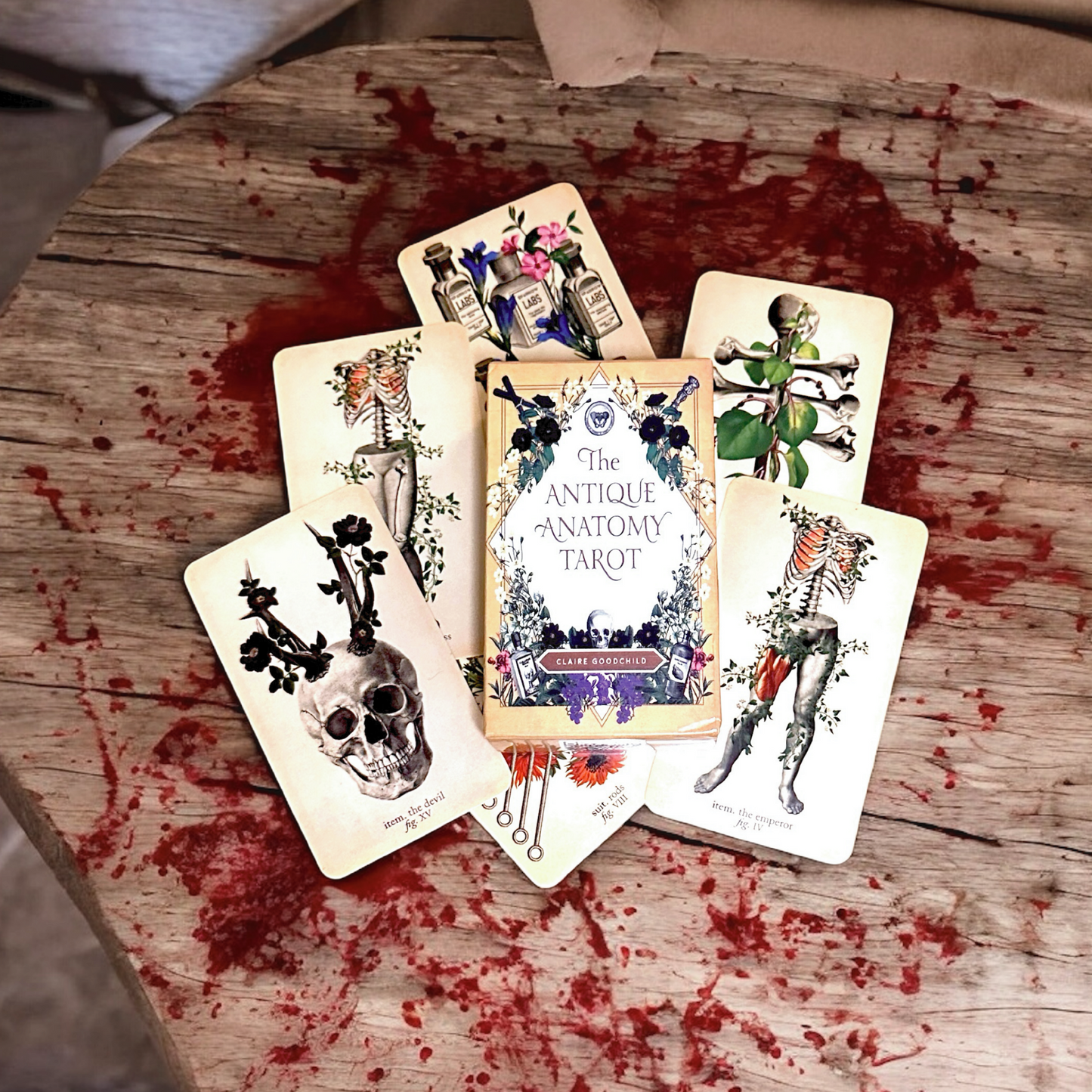 Anatomy Tarot Card Deck