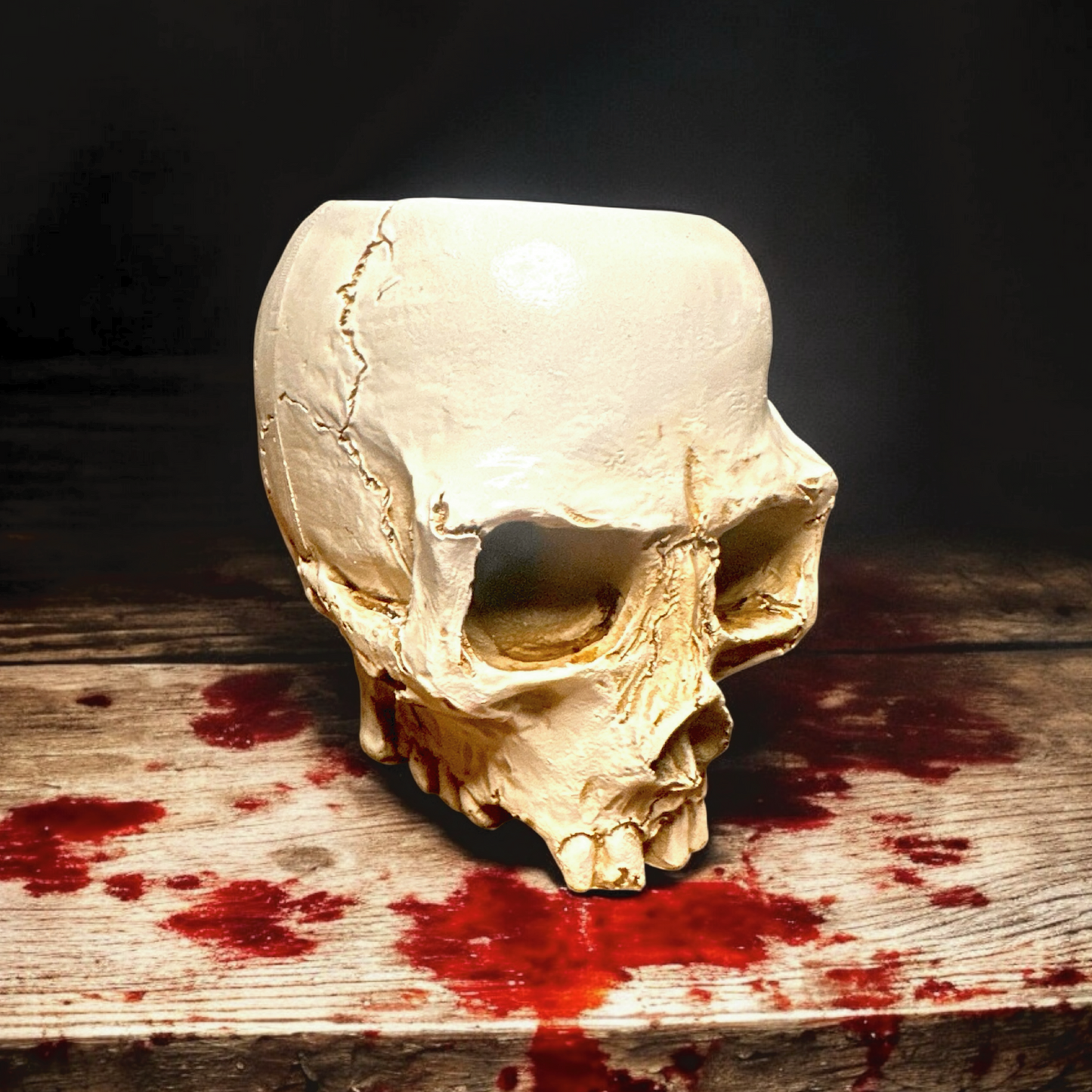 Skull Candle/Plant Holder