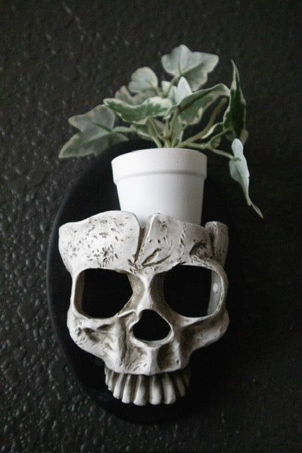 Skull Wall Mount Candle/Plant Holder