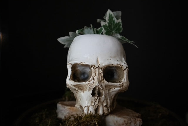 Skull Candle/Plant Holder