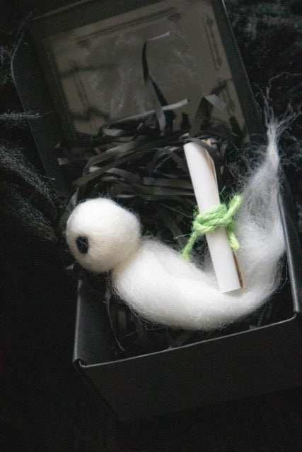 Adopt A Ghost Box