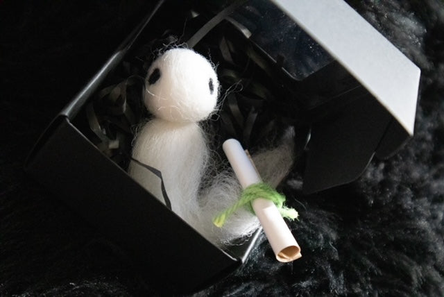 Adopt A Ghost Box