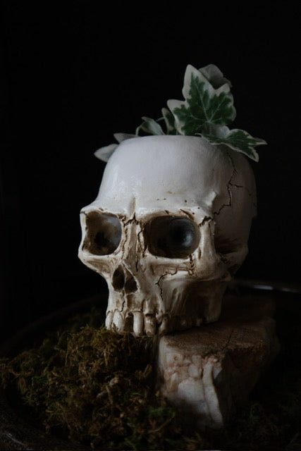 Skull Candle/Plant Holder
